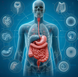 Animal physiology questions