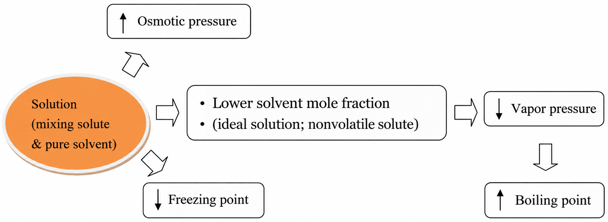 A nonvolatile solute lowers solvent mole fraction and vapor pressure, which raises the boiling point; colligative effects also include freezing-point depression and osmotic pressure.