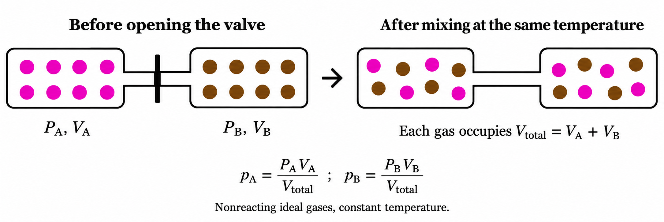 Before opening, each flask contains eight particles of one gas. After mixing, both gases occupy both flasks, with eight particles of each gas conserved.
