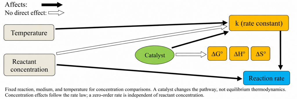 Temperature and catalyst can affect the rate constant; concentration effects follow the rate law; a catalyst does not change equilibrium thermodynamics.