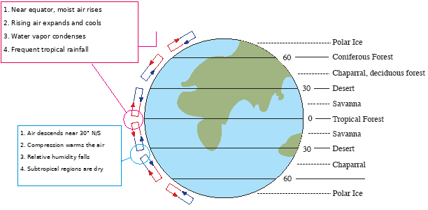 Earth's terrestrial biomes and atmospheric circulation: rising humid equatorial air and dry subtropical descending air