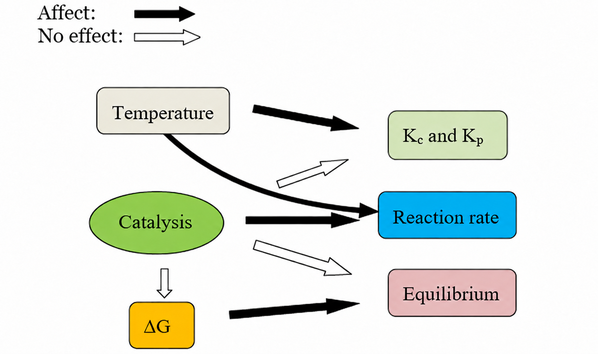 Temperature affects rate and equilibrium constants; catalysts increase rate without changing equilibrium