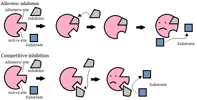 Allosteric inhibition that prevents substrate binding (top) and competitive inhibition at the active site (bottom).
